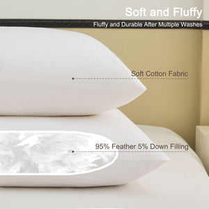 
                  
                    COZY ONE Down and Feather Pillow Inserts white 2 Pack
                  
                