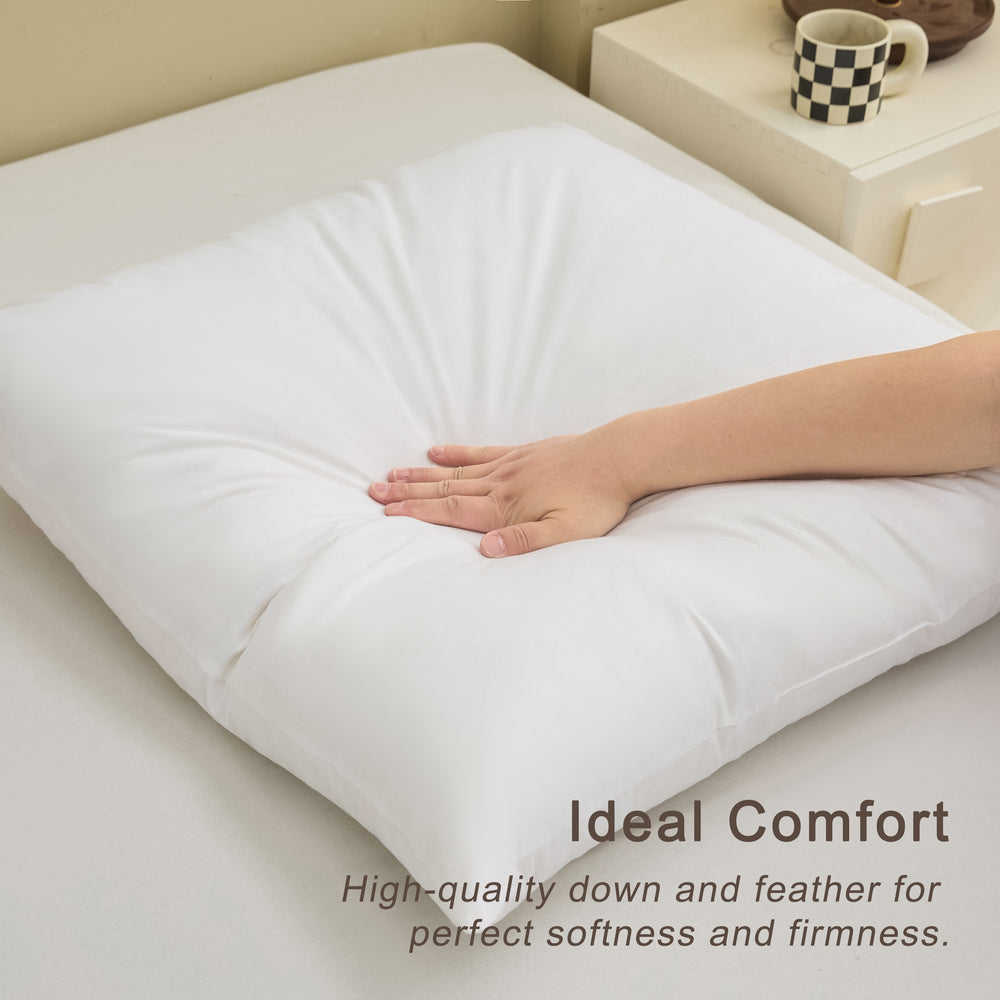 
                  
                    COZY ONE Down and Feather Pillow Inserts white 2 Pack
                  
                