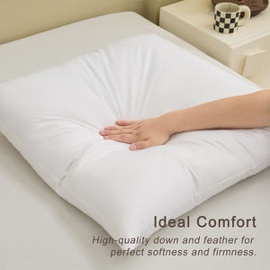 
                  
                    COZY ONE Down and Feather Pillow Inserts white 2 Pack
                  
                